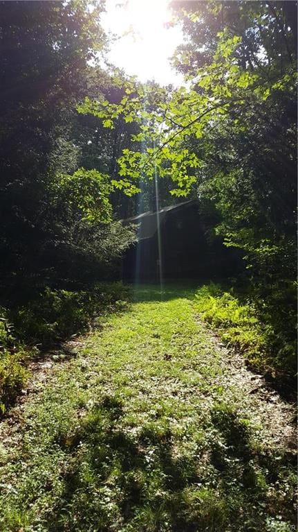 0 Hillside Ln, New Ringgold, PA 17960 - photo 4