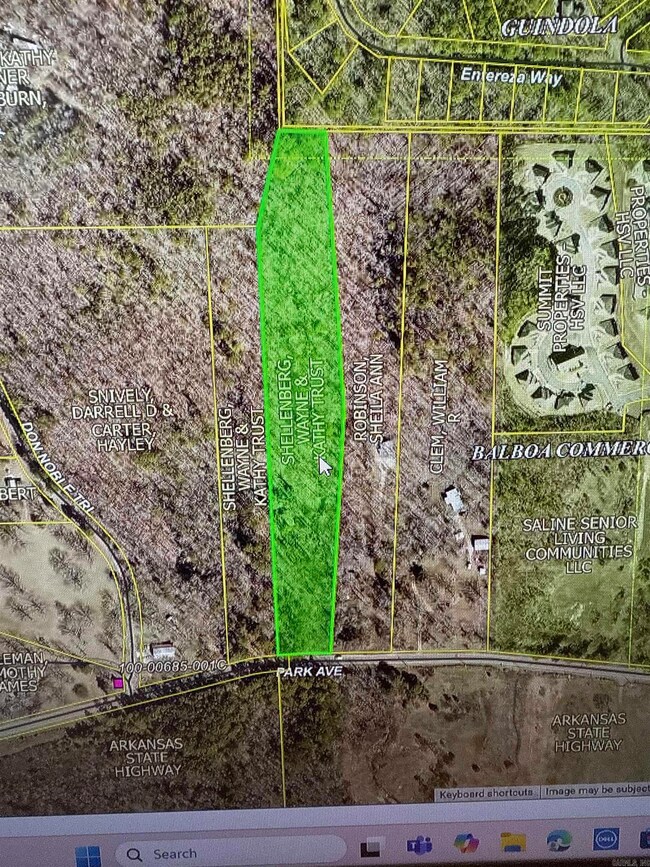 8641 Park Ave, Hot Springs National Park, AR 71901 - photo 2