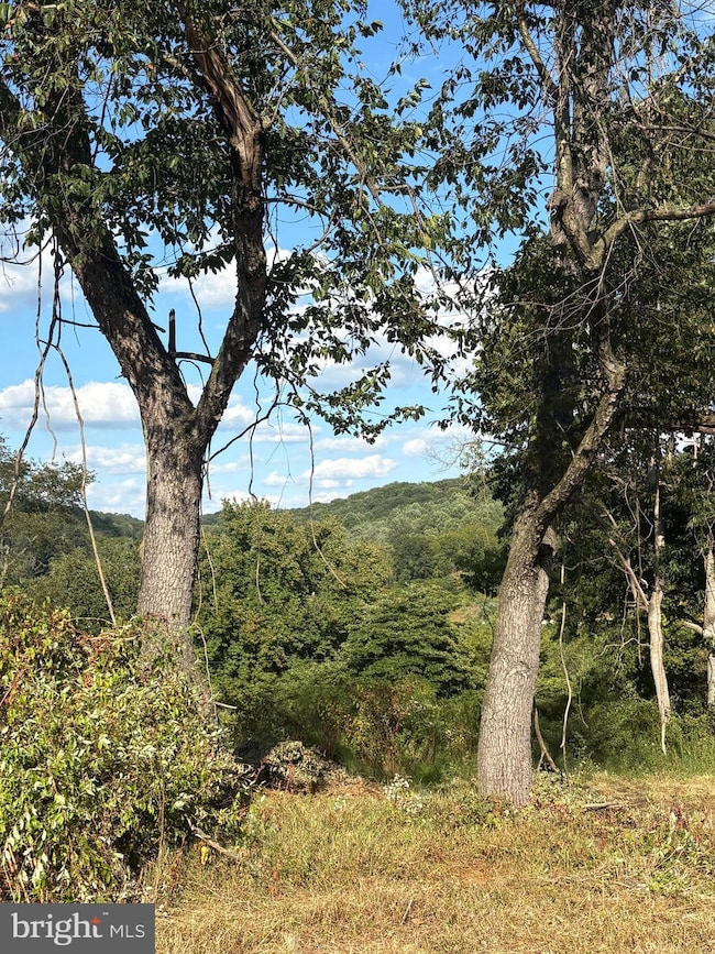 0 York Rd, York, PA 17407 - photo 7