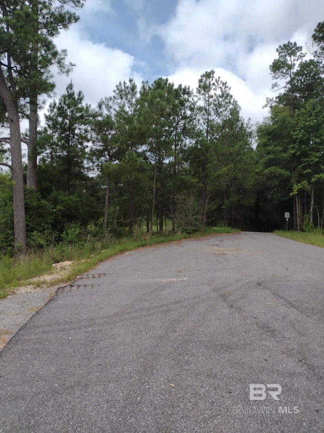 22200 Gap Weekly Rd, Perdido, AL 36562 - photo 6