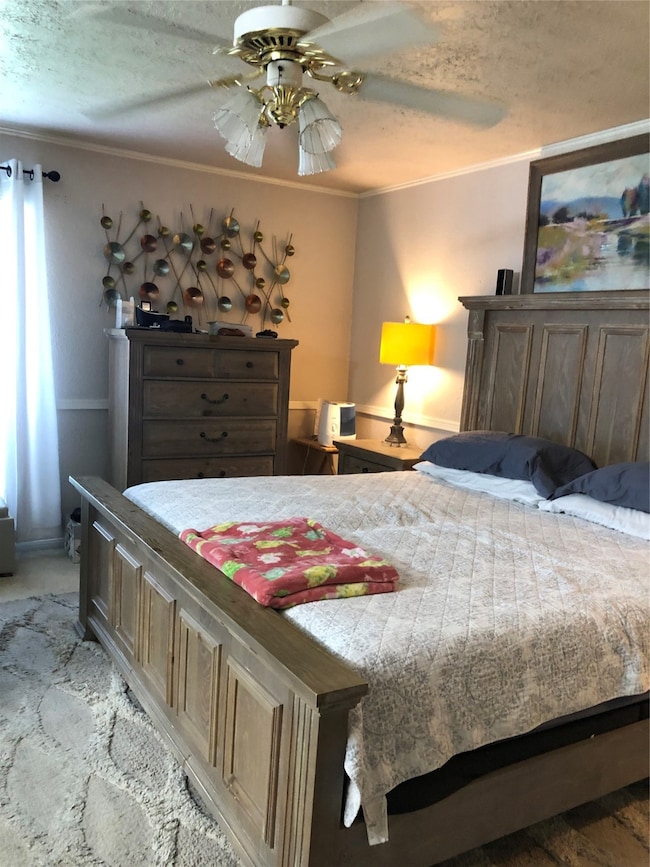 3502 Sardis Ln, Houston, TX 77088 - photo 5