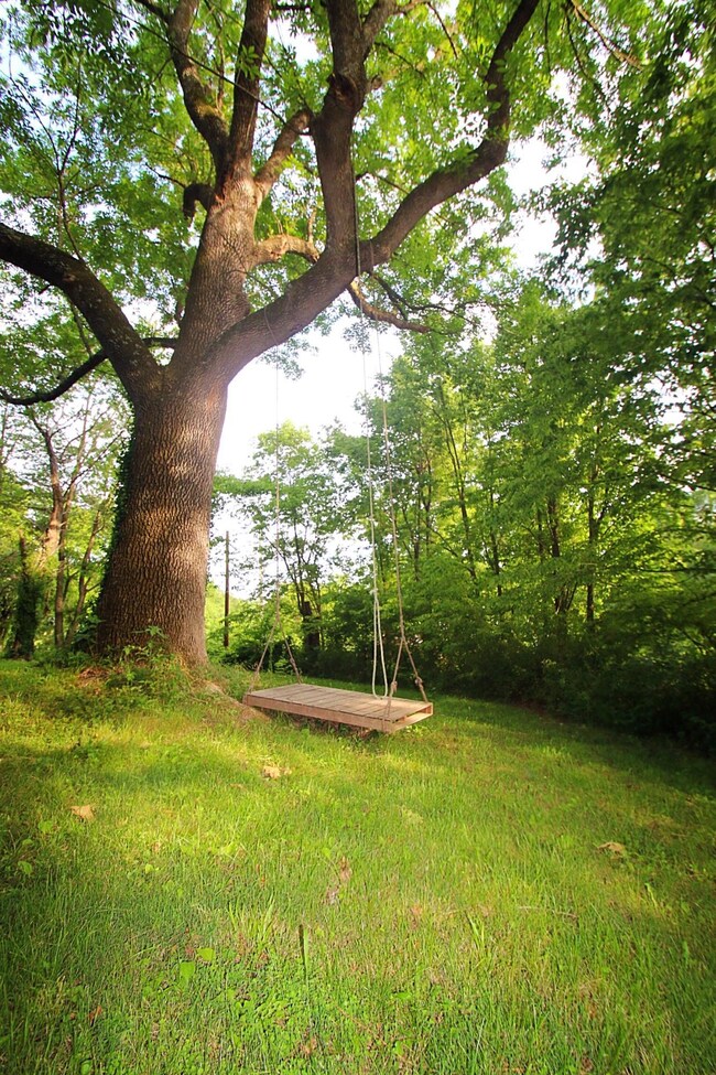 932 Old Riverdale Rd, Nixa, MO 65714 - photo 3