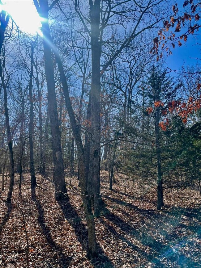 0 Maries County 518 Rd unit 23006790, Rolla, MO 65401 - photo 4