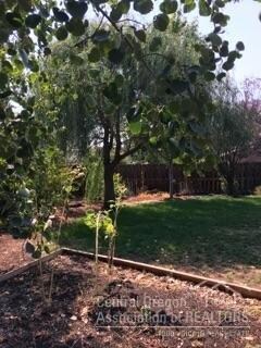 1056 SW 32nd Ct, Redmond, OR 97756 - photo 5