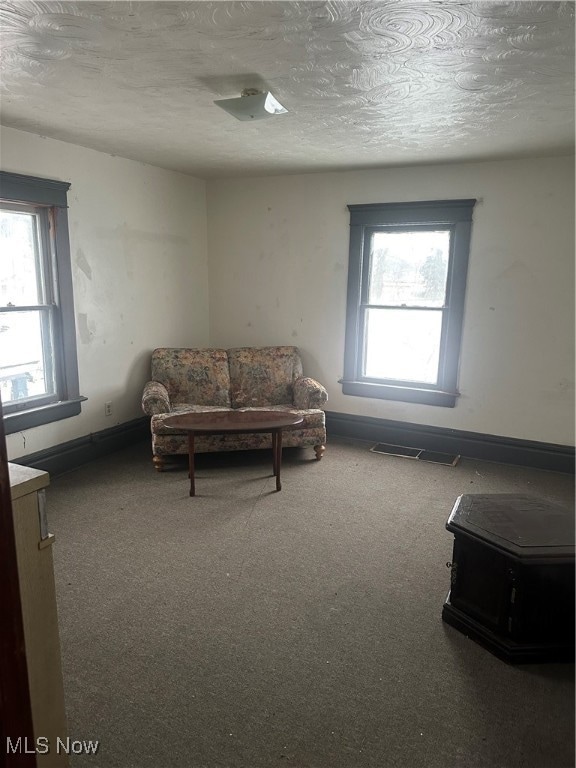 Living area with plenty of natural light, a textured ceiling, and carpet floors