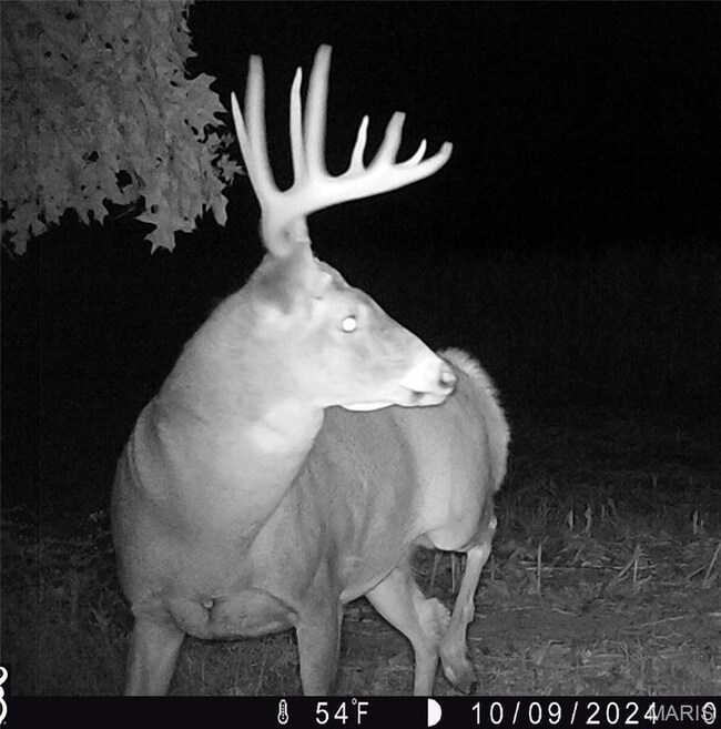 00 Union Grove Ave, Lagrange Township, IL 62246 - photo 6