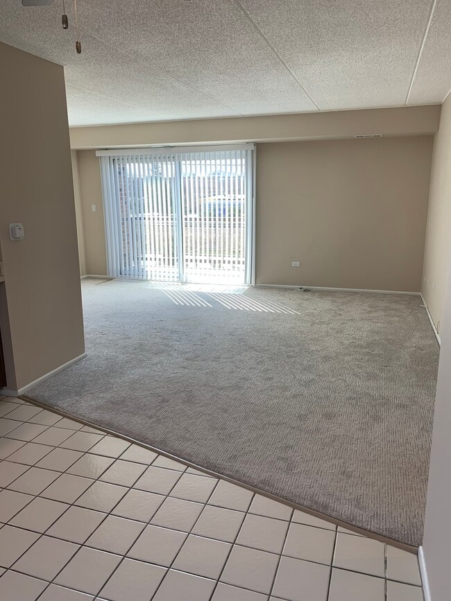 271 W 1st St unit 2A, Elmhurst, IL 60126 - photo 7