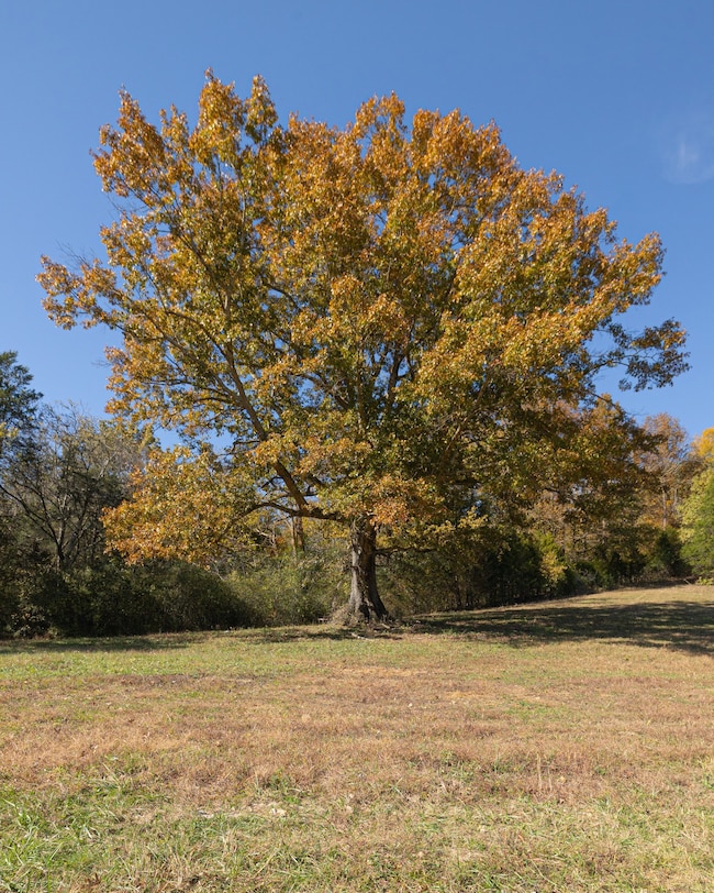 3 Tallent Rd, Pulaski, TN 38478 - photo 4