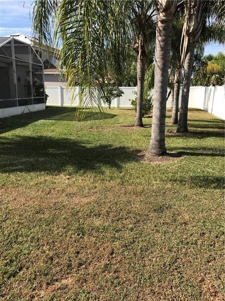Back garden view