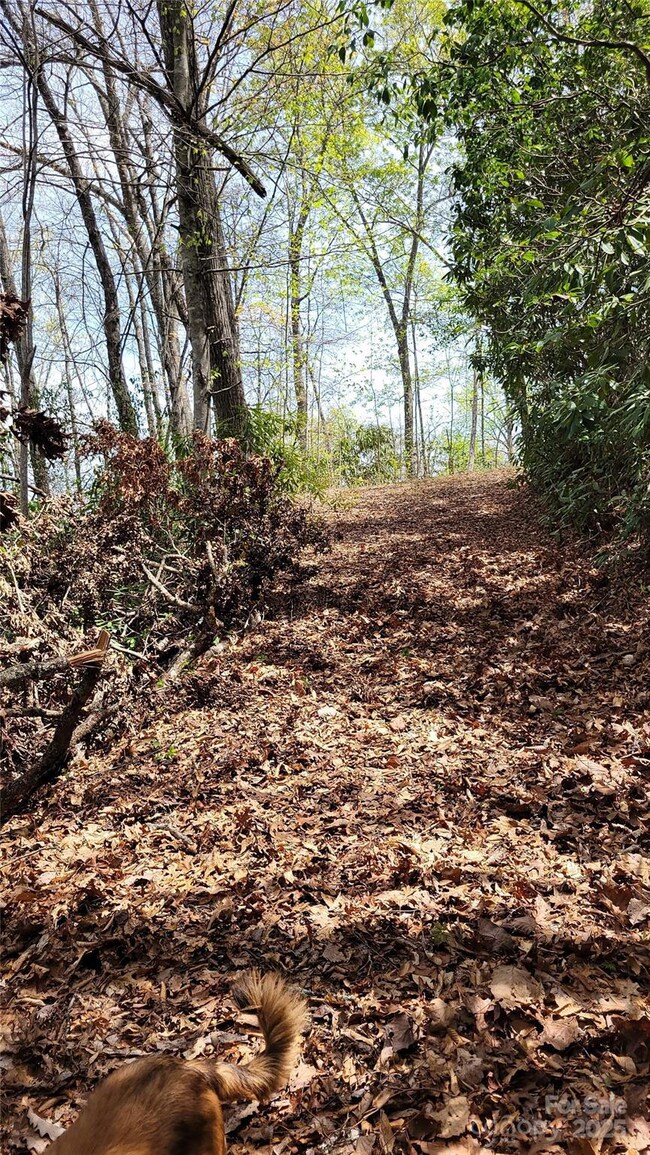 Road cut to access all 8 lots