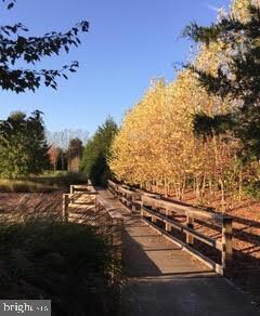 100 Forget me Not Dr, White Post, VA 22663 - photo 4