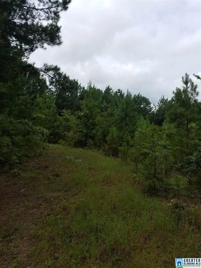 5 Charles Taylor Rd unit 5, Vance, AL 35490 - photo 2