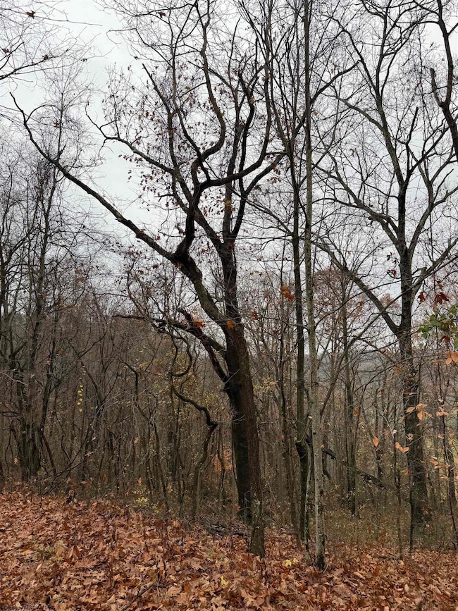 TBD Mount Morris Rd, Morgantown, WV 26501 - photo 5