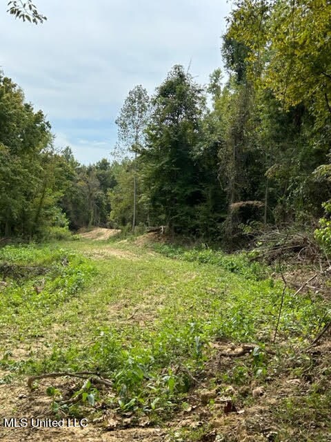 Food Plot