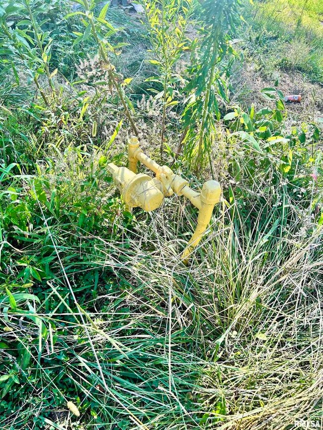 1207 Gentile St, Colp, IL 62918 - photo 7