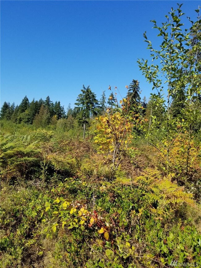 24222 110th Ave E unit A, Graham, WA 98338 - photo 6