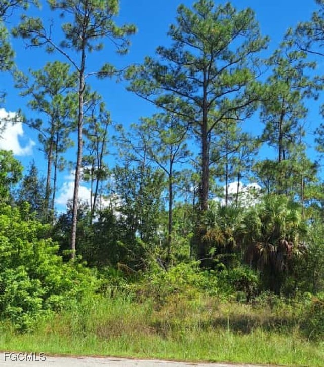 2108 Truman Ave, Alva, FL 33920 - photo 3