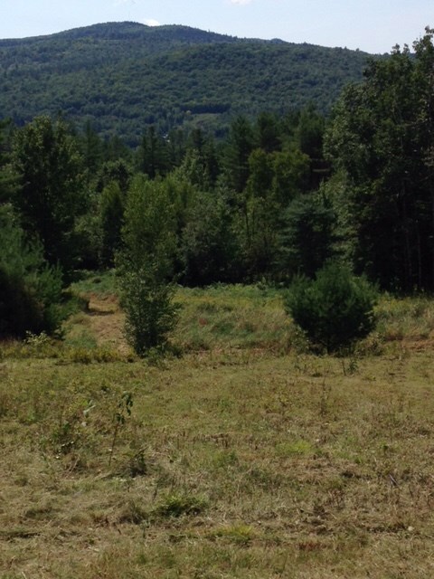 1 Morel Rd, Lancaster, NH 03584 - photo 7