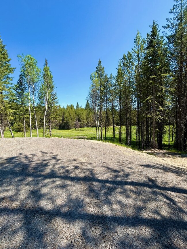 TBD Sawtooth Loop, Cascade, ID 83611 - photo 2