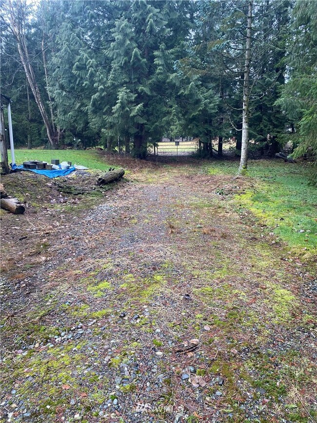 3023 Iverson Ln, Custer, WA 98240 - photo 3