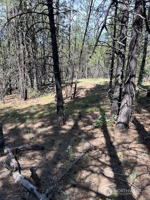 0 Rocky Ridge Rd unit NWM2426919, Davenport, WA 99169 - photo 5