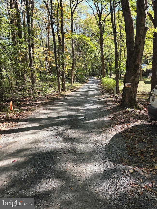 3816 A Jim Smith Ln, New Windsor, MD 21776 - photo 6