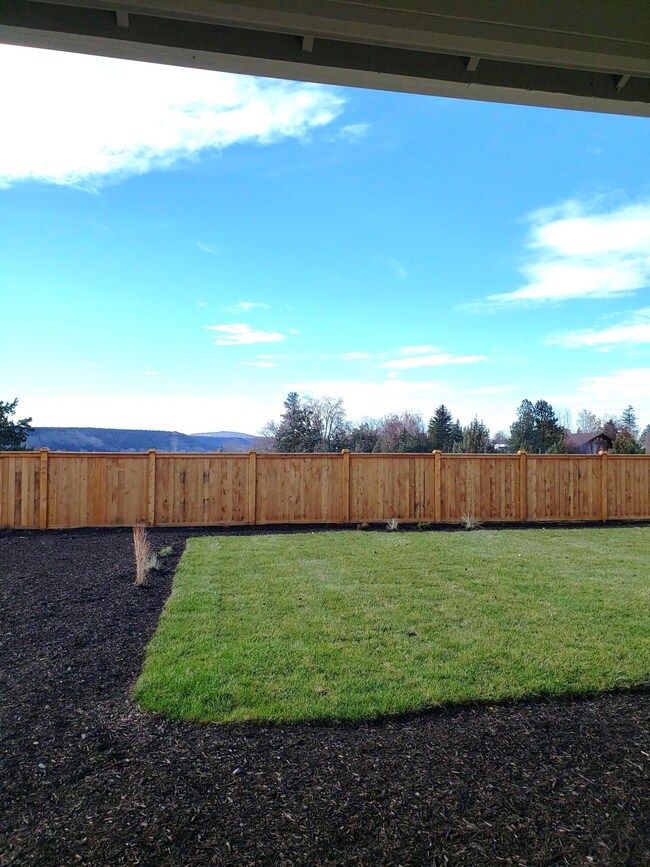 #176 backyard