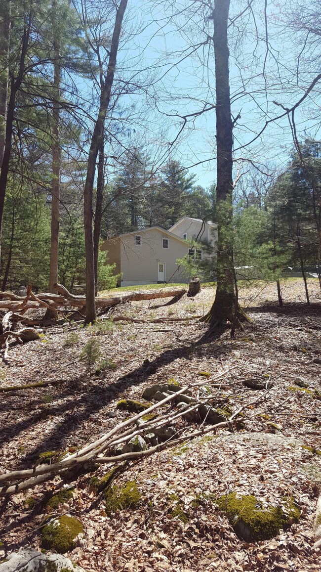 110 Beach Ln, Dingmans Ferry, PA 18328 - photo 4