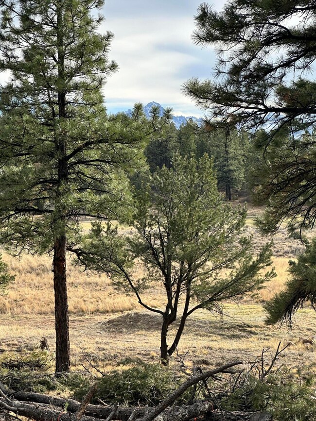 46 Marmot Ct unit 121, Ridgway, CO 81432 - photo 6