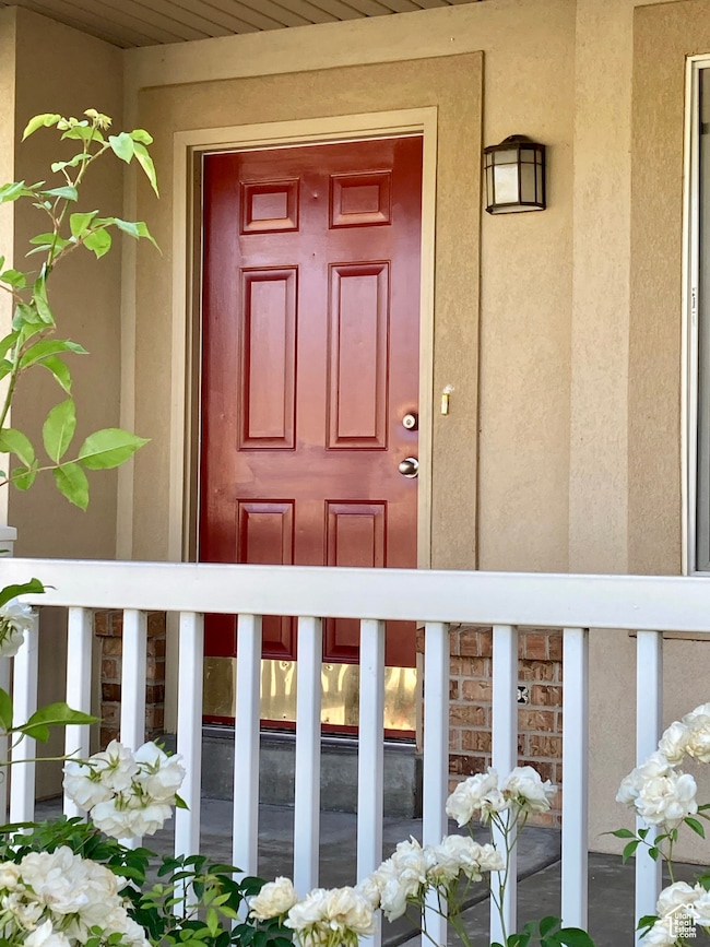Doorway to property featuring stucco siding