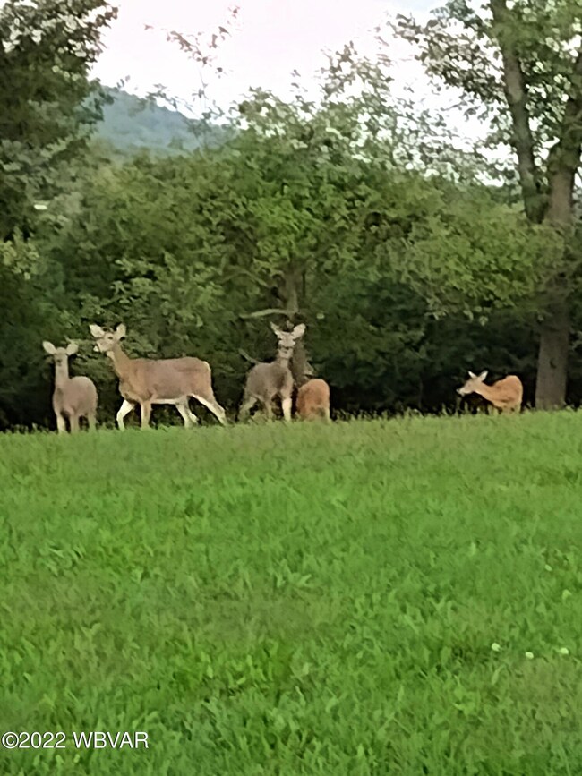 18 Eister Loop, Danville, PA 17821 - photo 4