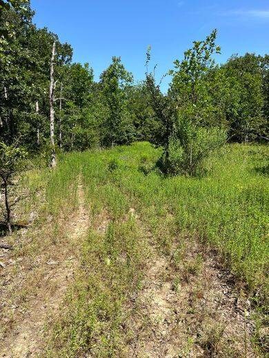 Tract 1 SE 1083 Road Ave, Red Oak, OK 74563 - photo 2