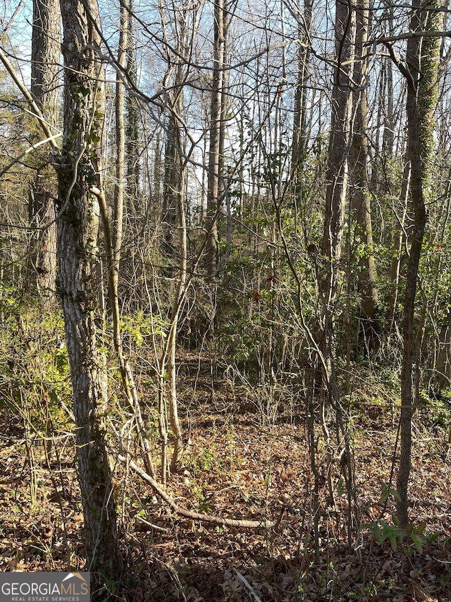 6145 Knights Ln, Douglasville, GA 30135 - photo 5