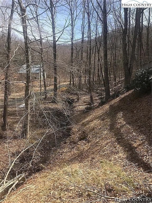 2230 Old Highway 16, Jefferson, NC 28640 - photo 4