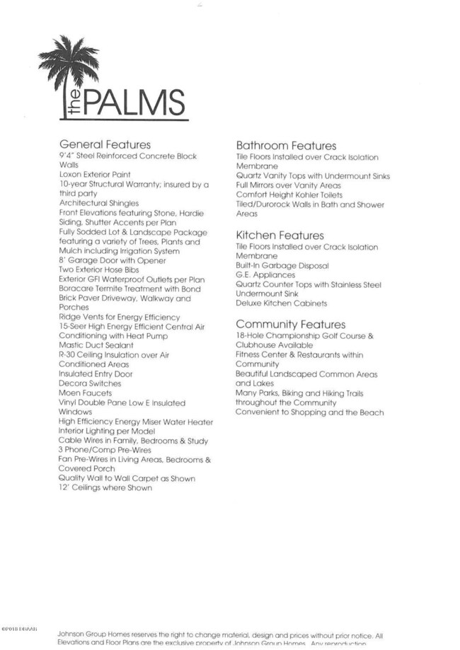 Sabal Palm 2