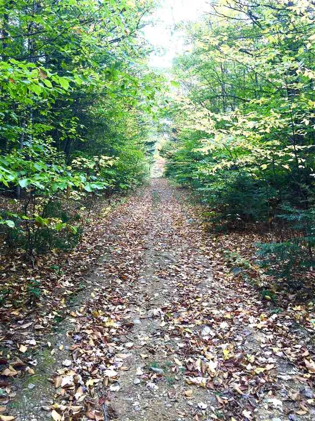 R33-6 Drake Rd Saddle Hill Rd, Meredith, NH 03253 - photo 4