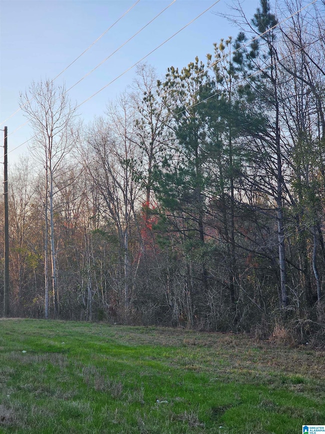 0 Highway 82 unit 21381429, Maplesville, AL 36750 - photo 7