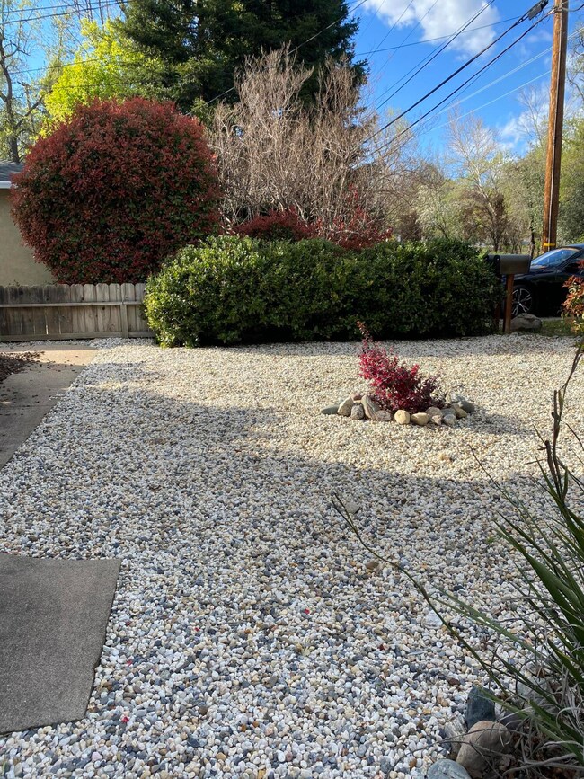Front yard