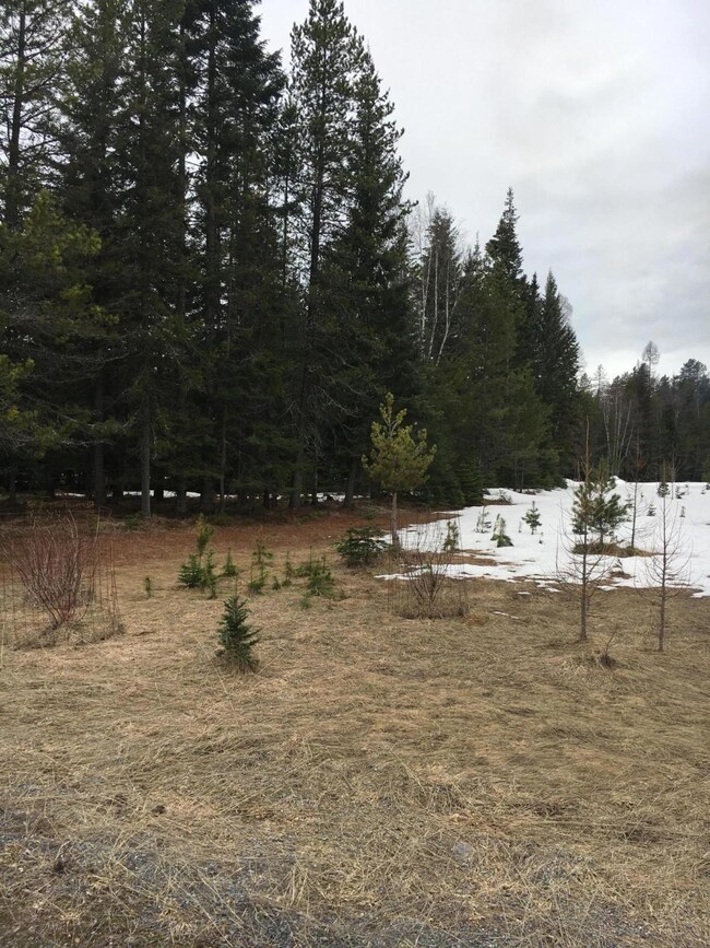 18 Carly Ln, Big Fork, MT 59911 - photo 7