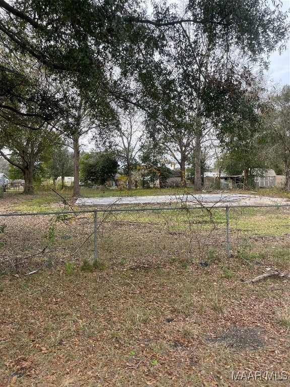 109 Rebecca Ln, Newton, AL 36352 - photo 3