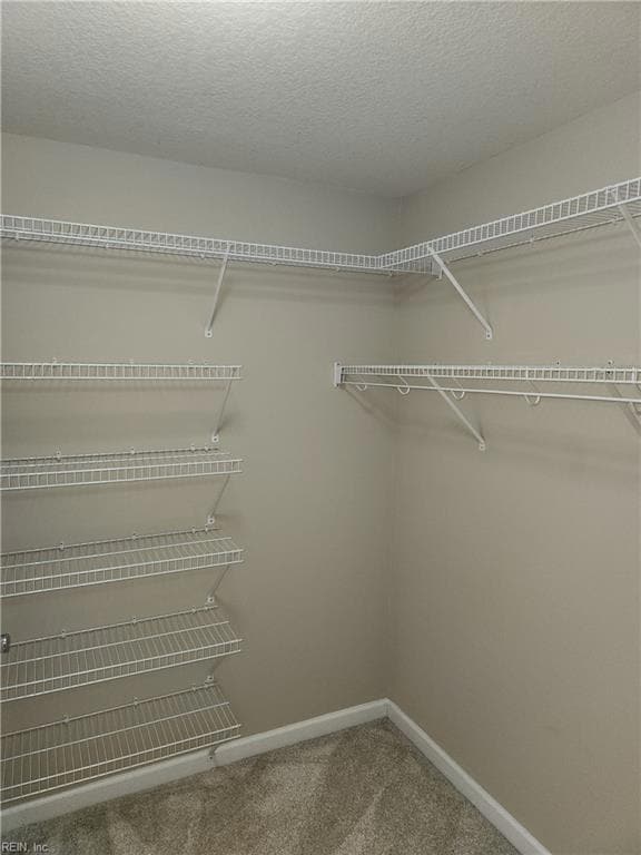 748 Sequoia Way, Virginia Beach, VA 23451 - photo 7