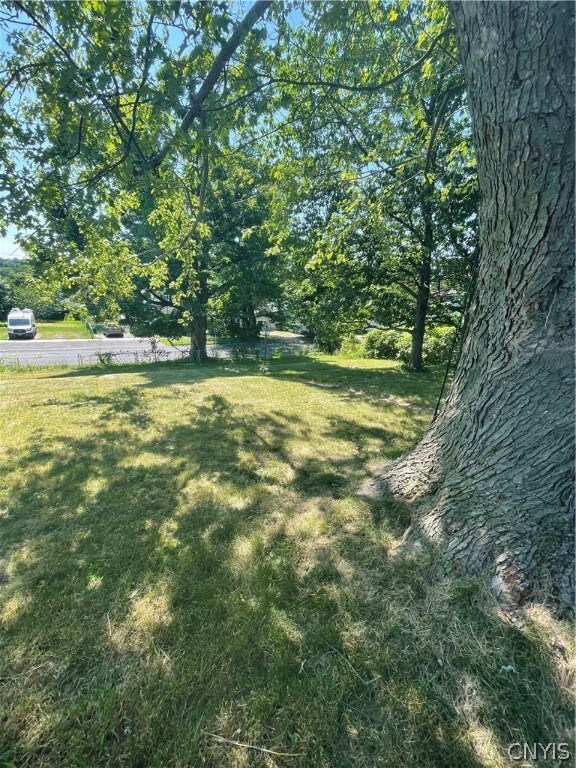 Whole yard is all fenced in