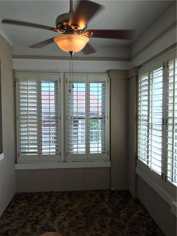 3415 Mckinley Ave, El Paso, TX 79930 - photo 5