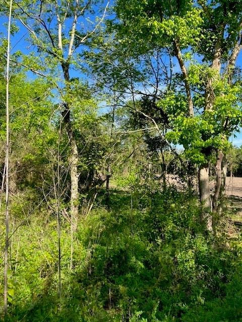 0 Stanton Rd, New Orleans, LA 70131 - photo 4