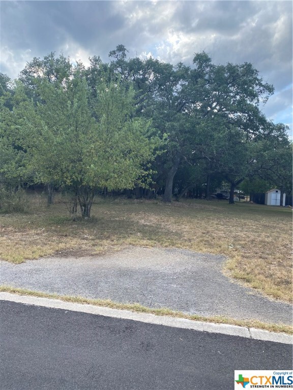 1506 Delmar St, San Marcos, TX 78666 - photo 2