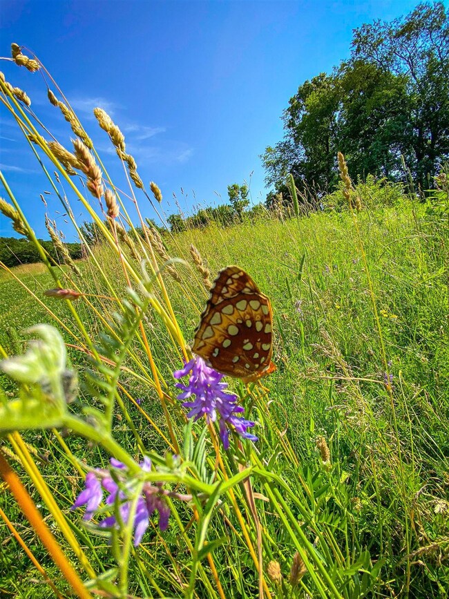 00 Darling Rd, Brunswick, NY 12180 - photo 5