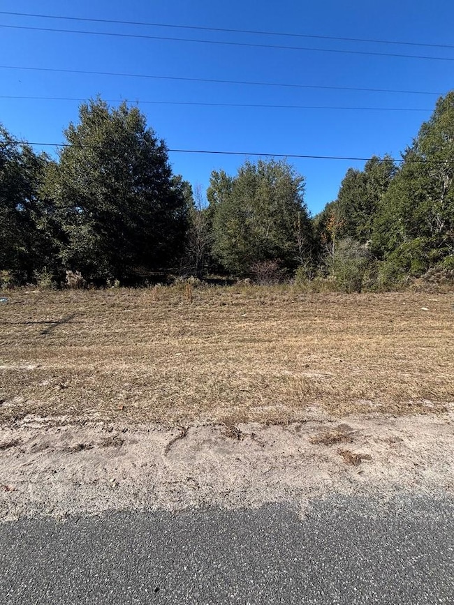 0001 NE 349 Hwy, Old Town, FL 32680 - photo 4