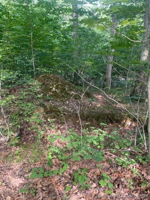 24 Costa Ln, Redding, CT 06896 - photo 7