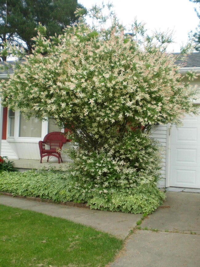 911 Dexter Dr, Lennon, MI 48449 - photo 4