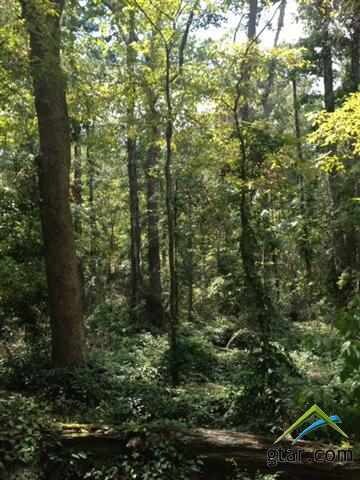 5814 Brixworth Dr, Tyler, TX 75703 - photo 5